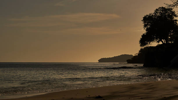 Silhouette tree at sunset on the beach Playa Cacique of Contadora island Pacific Ocean, archipelago  Las Perlas, Panama isla contadora stock pictures, royalty-free photos & images