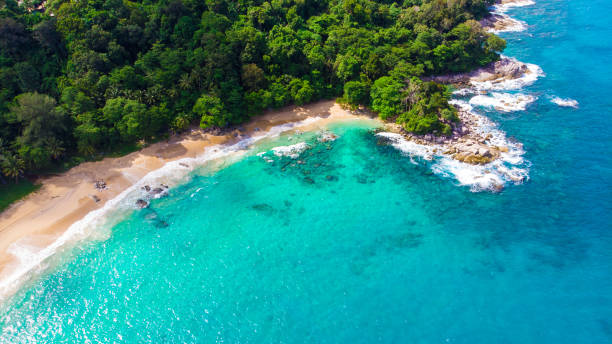 istock Tropical forest on sea island beach aerial view 1178228728