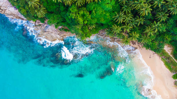 istock Tropical forest on sea island beach aerial view 1178231504
