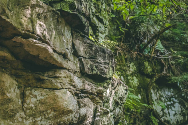 Closeup of rock wall