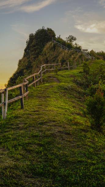 istock Top of Phu Chi Dao 1178238557