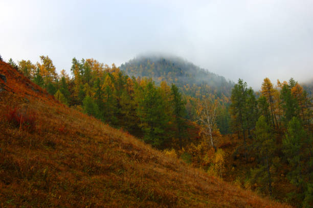 istock Beautiful nature in mountain terrain by autumn 1178240141