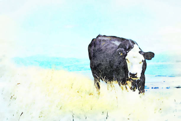 istock Watercolor Illustration of Cow 1178241455