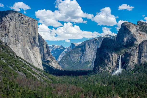 istock Yosemite National Park 1178245918