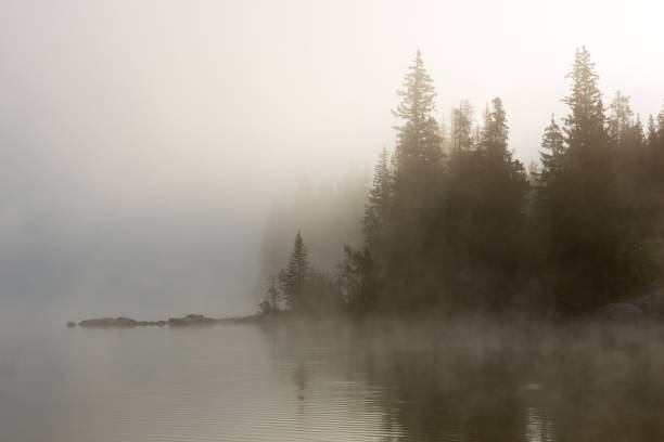 Morning mist rises off the waters of Pyramid Lake in Jasper National Park.  There is a ethereal, mystical, spiritual quality to the scene.  Mist obscures the trees around the lake.
