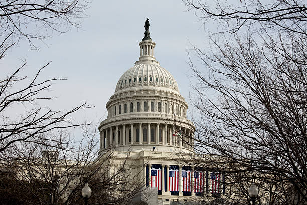 istock President Barack Obama's Inauguration, Washington DC Capitol Building 117824872