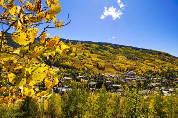 istock Vibrant Autumn Fall Foliage Vail Colorado 1178248893