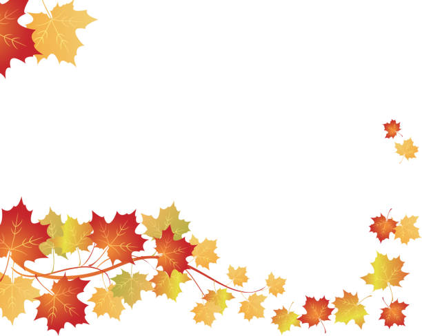 illustrations, cliparts, dessins animés et icônes de fond d'illustration de vecteur de l'érable - japanese maple leaf autumn abstract
