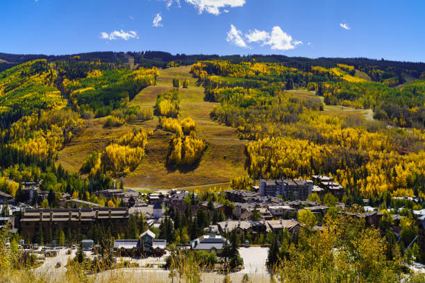 istock Vibrant Autumn Fall Foliage Vail Colorado 1178251077
