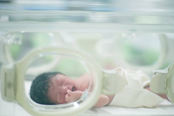 istock Newborn baby in incubator 1178252219