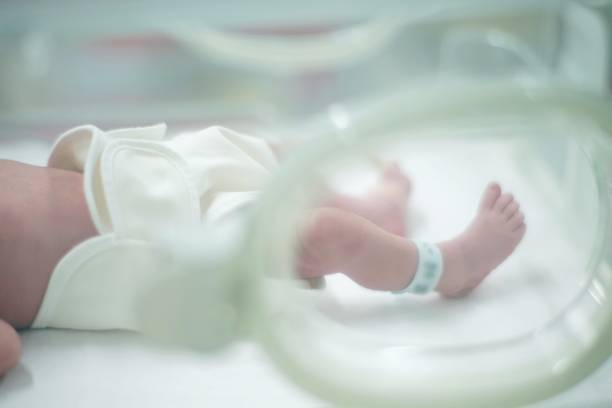 istock Newborn baby in incubator 1178252238
