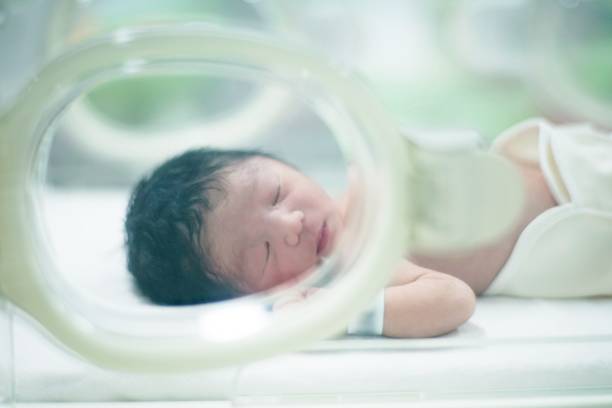 istock Newborn baby in incubator 1178252241