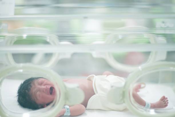 istock Newborn baby in incubator 1178252246