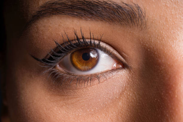 istock female eye and brow 1178253885