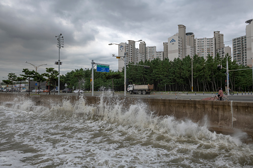 A woman on a bicycle passes swells from a passing typhoon as they break against the waterfront in Pohang, South Korea (September 23, 2019)