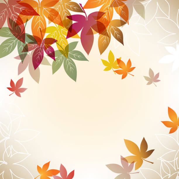 カエデのベクトルイラストの背景 - japanese maple leaf autumn abstract点のイラスト素材／クリップアート素材／マンガ素材／アイコン素材