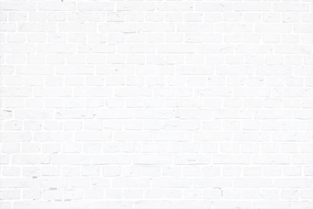 ilustrações de stock, clip art, desenhos animados e ícones de modern white color brick pattern wall texture grunge background vector illustration - tile background