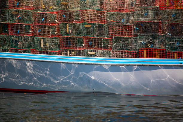 Shrimp and Lobster traps on a boat Miami