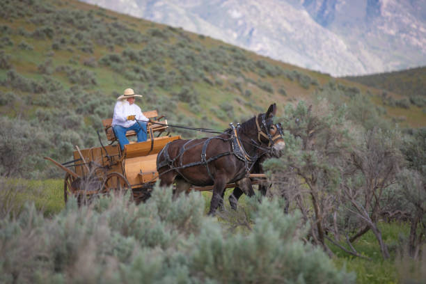 istock Horse carriage Utah 1178257242