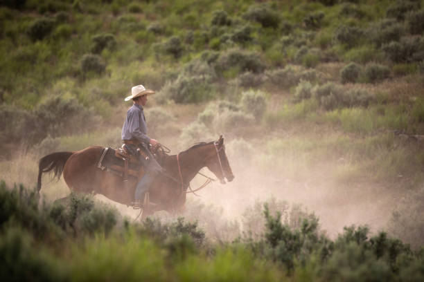 istock Cowgirl Horseback Riding 1178257404