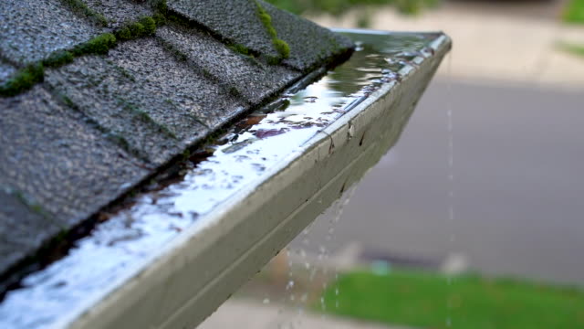 Clogged roof gutter and drain pipe with leaves and water