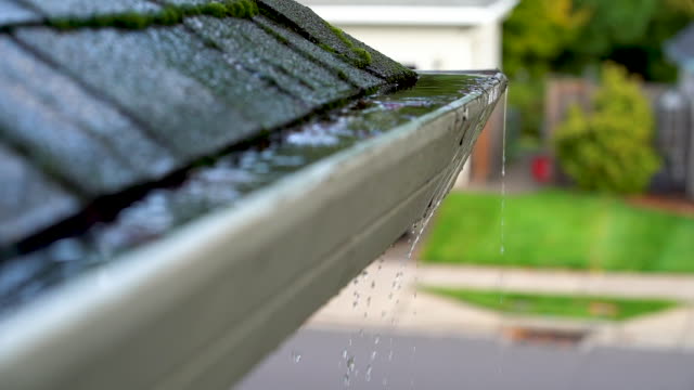 Clogged roof gutter and drain pipe with leaves and water