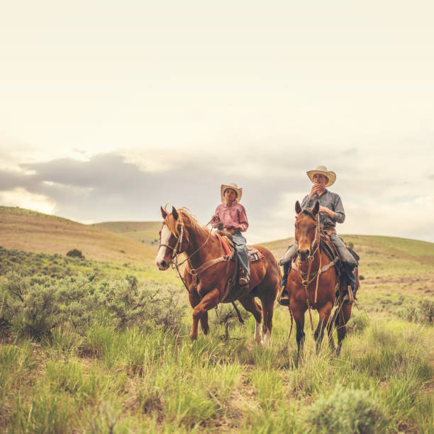 istock Ranchers on horses in Utah, USA 1178258349