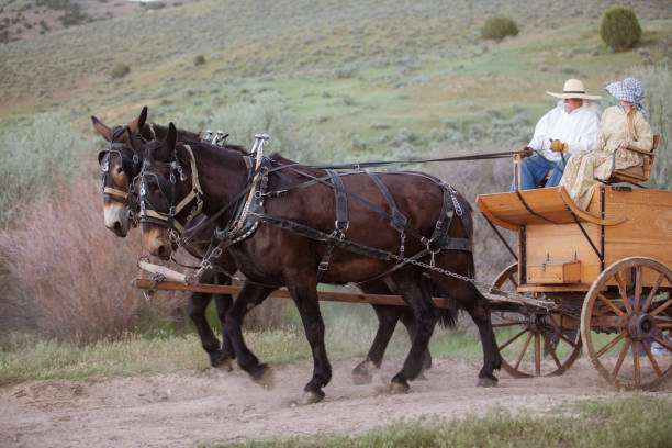 istock Horse carriage Utah 1178258366