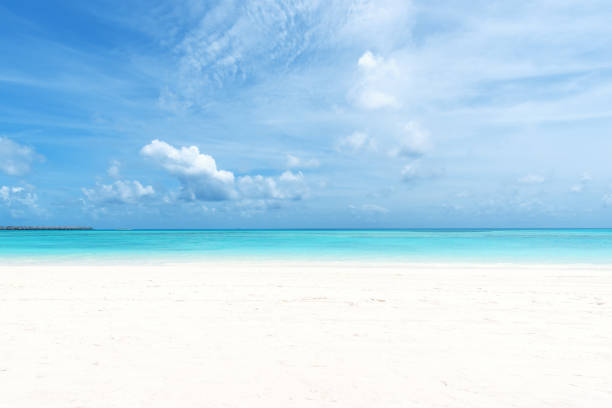 istock Exotic beach with white sand and turquoise sea 1178258383