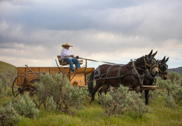 istock Horse carriage Utah 1178259030