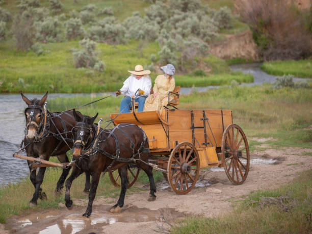 istock Horse carriage Utah 1178259101