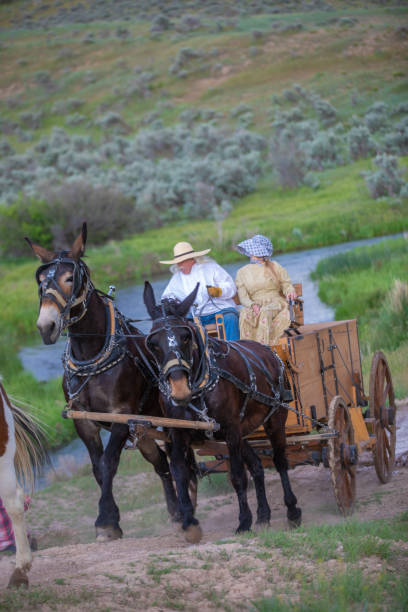 istock Horse carriage Utah 1178259135