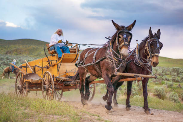 istock Horse carriage Utah 1178259237