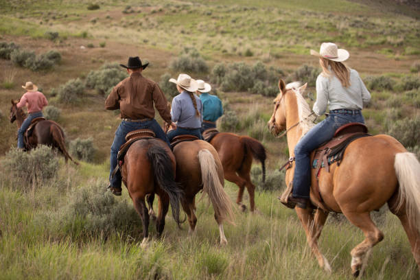 istock Ranchers on horses in Utah, USA 1178259320