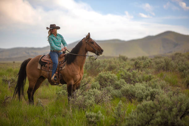 istock Cowgirl Horseback Riding 1178259337