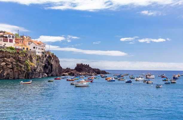 istock Port of Camara de Lobos 1178262063