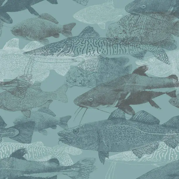 Vector illustration of Freshwater Fish Swimming Repeat