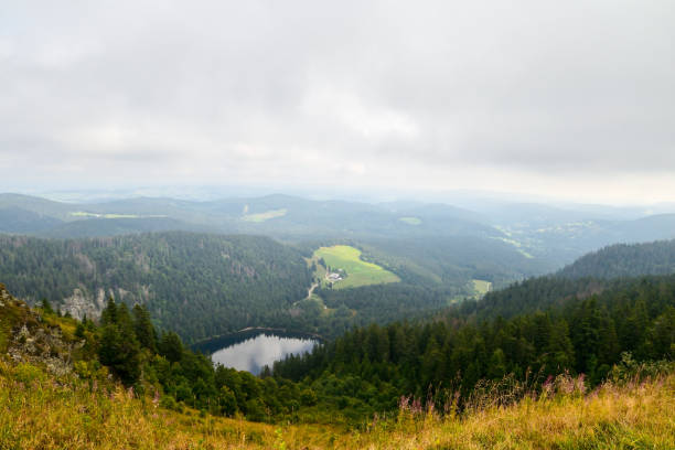 istock View over the lake Feldsee in the black forest, Germany. 1178269426