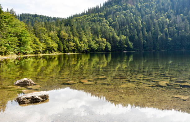 istock View over the lake Feldsee in the black forest, Germany. 1178270167