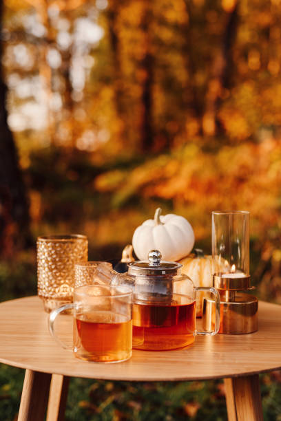 istock Autumn tea time outdoors in sunrise beautiful nature sunlight 1178275355