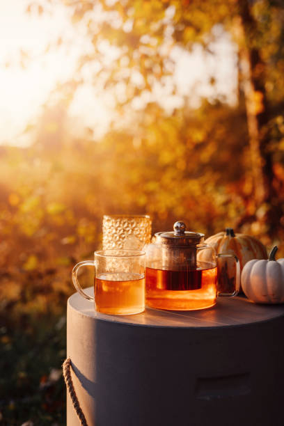 istock Autumn tea time outdoors in sunrise beautiful nature sunlight 1178275361