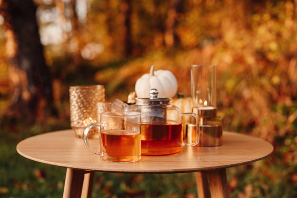 istock Autumn tea time outdoors in sunrise beautiful nature sunlight 1178275393