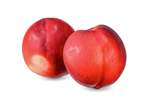 istock Nectarine isolated on white with clipping path 1178276075