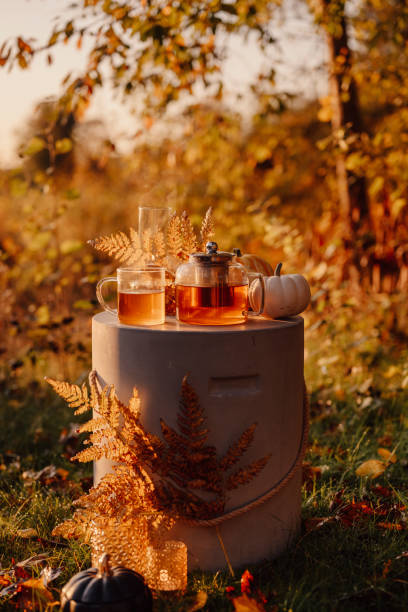 istock Autumn tea time outdoors in sunrise beautiful nature sunlight 1178276515