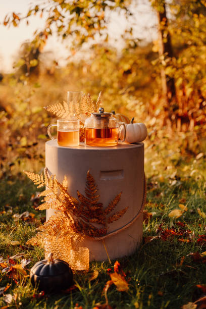 istock Autumn tea time outdoors in sunrise beautiful nature sunlight 1178276562