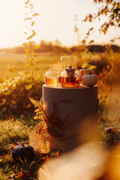 istock Autumn tea time outdoors in sunrise beautiful nature sunlight 1178276574