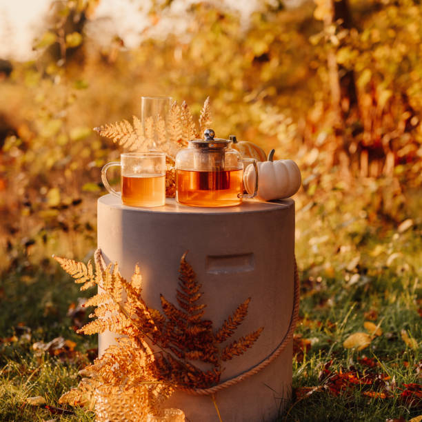 istock Autumn tea time outdoors in sunrise beautiful nature sunlight 1178276578