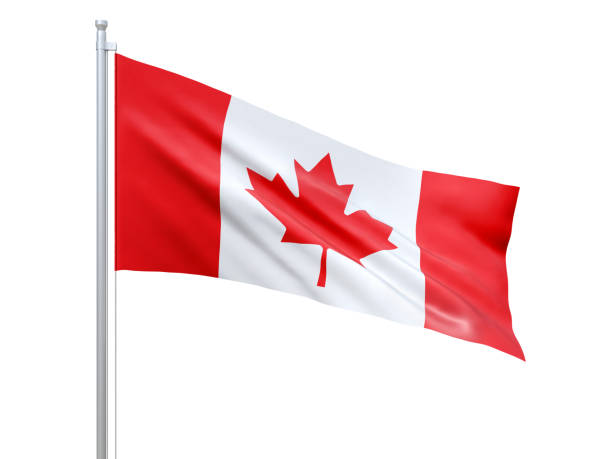 bandera de canadá ondeando sobre fondo blanco, de cerca, aislado. renderizado 3d - canada canadian flag business canadian culture fotografías e imágenes de stock