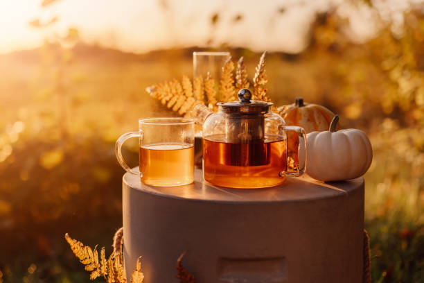 istock Autumn tea time outdoors in sunrise beautiful nature sunlight 1178278075