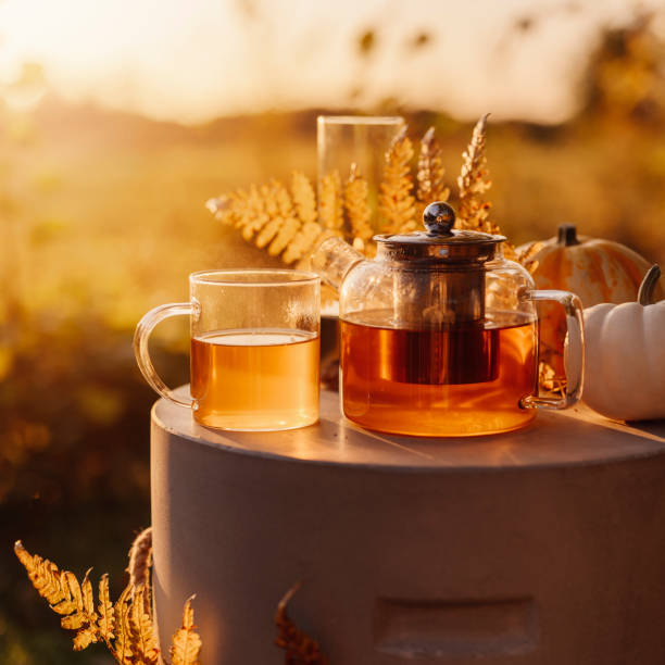 istock Autumn tea time outdoors in sunrise beautiful nature sunlight 1178278076
